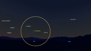 night sky graphic showing venus to the right of the moon and antares to the left.