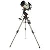 Celestron Advanced VX 8-Inch...